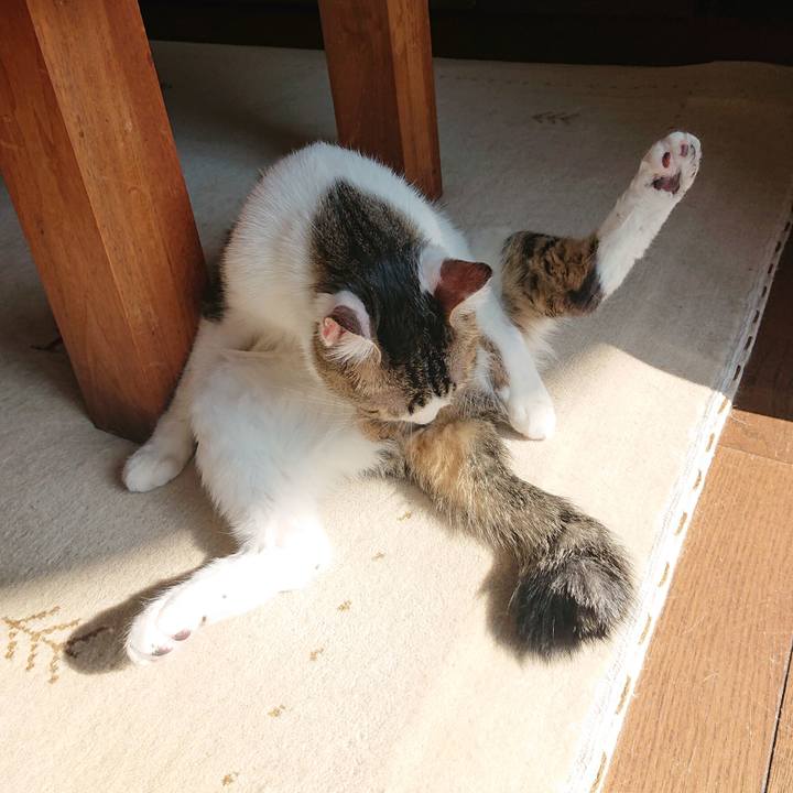 494b233a 0367 4da8 9900 6c4acce93598 1605407826722