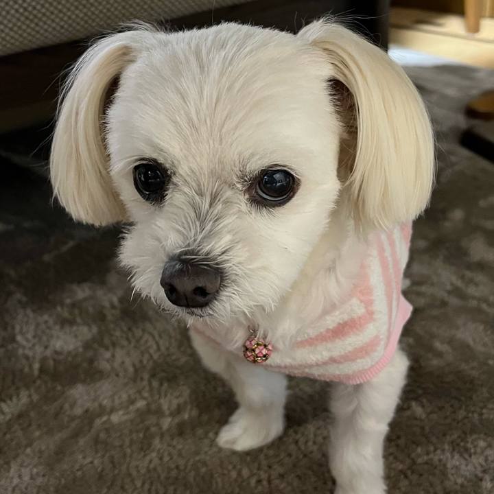 494b3362 5627 4bf9 9200 ee8160704235 1670919624636