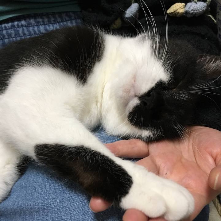 494b37b3 5eda 485c bdc9 0f9458e18877 1527213382506