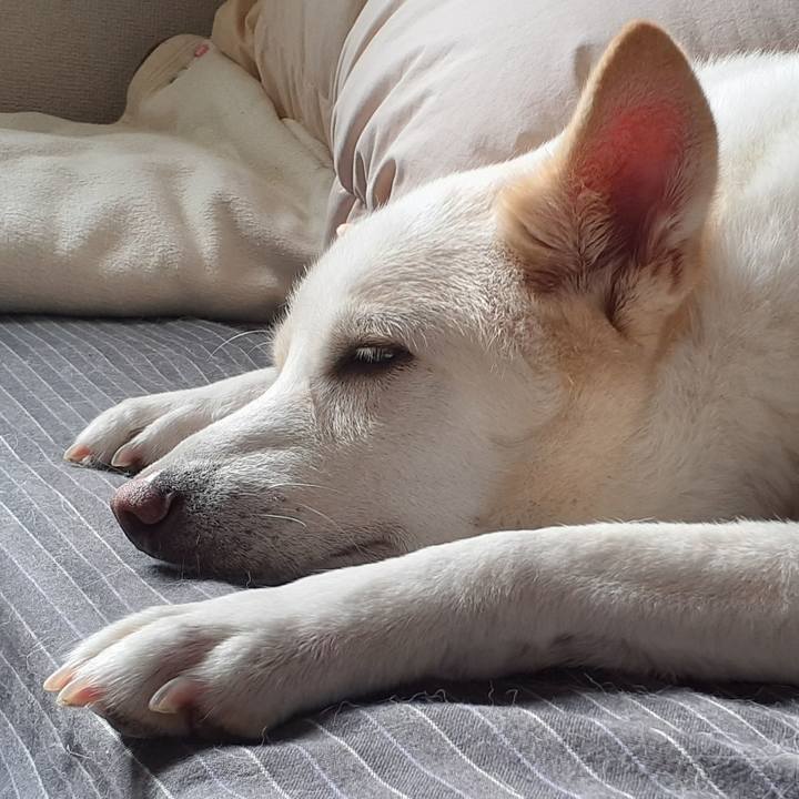 494b3cc9 b0e4 4e89 be1e 6c5e89f7686b 1762606031428