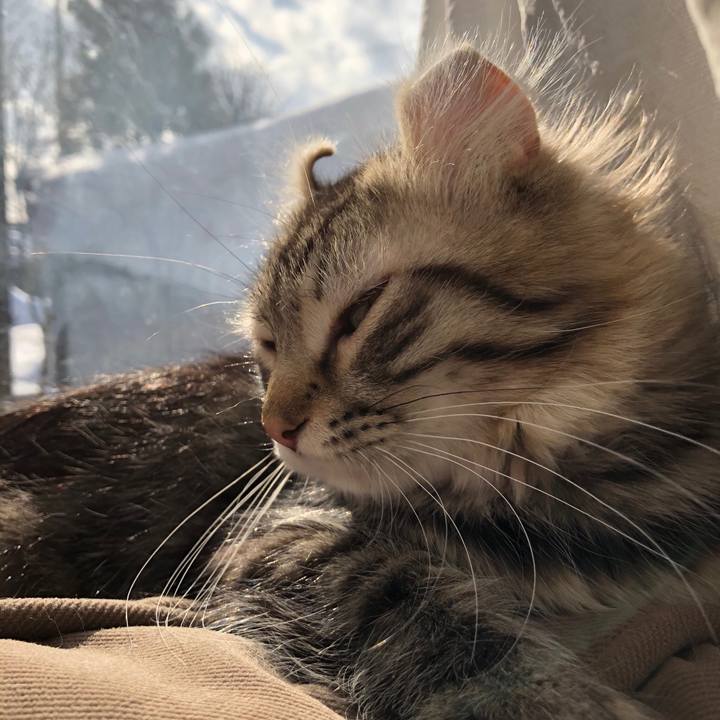 494b5b06 3ded 47ad 84d9 5edc60c90c0e 1517899144380