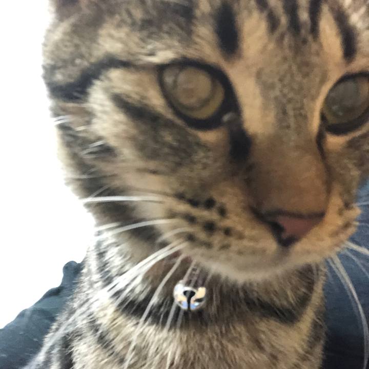 494b68f4 e14e 48c9 b7d7 89e3c8ff65d8 1735803351570