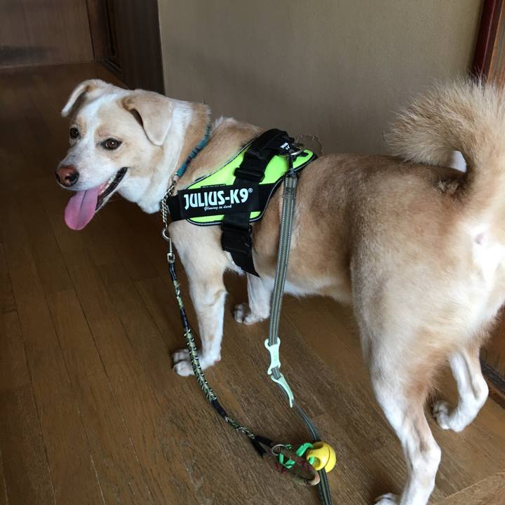 494b7bb8 0ed3 4e4e 80c2 b8d6be2d068b 1537059660534