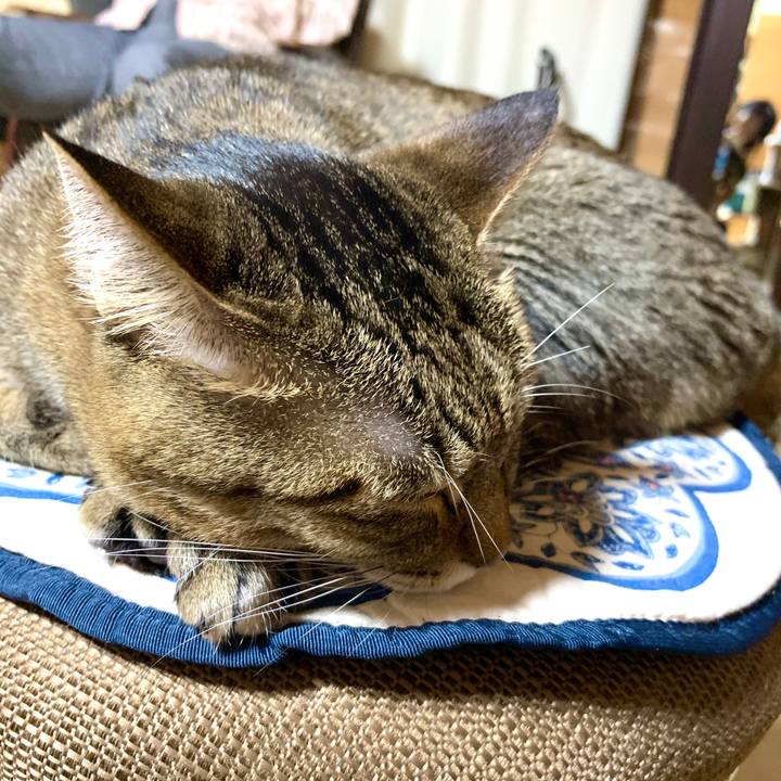 494b7c97 acfa 410d b4e5 ae7f9970ad5f 1588685884229