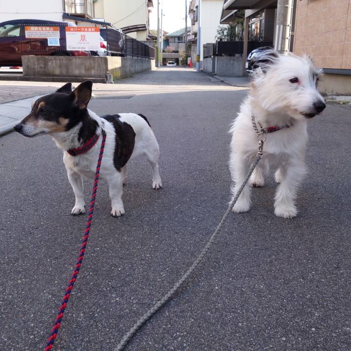 494b7e7b d548 4a46 8146 ca56d6c0d468 1554423624739