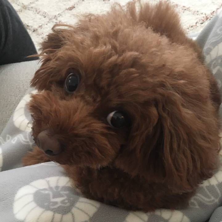 494bd673 4c3a 4224 85e4 2312738a8739 1526082776242