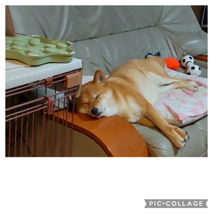 494bff38 8de3 4134 bb1c 686aadb6fcfd 1680171494216