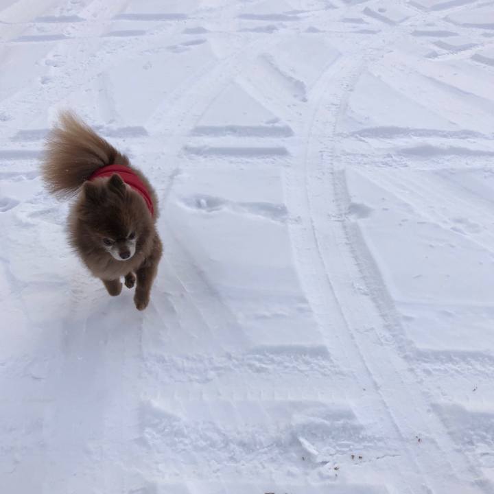 494c2b42 c1ae 4a3d ab87 9f1b505e3087 1640669424752