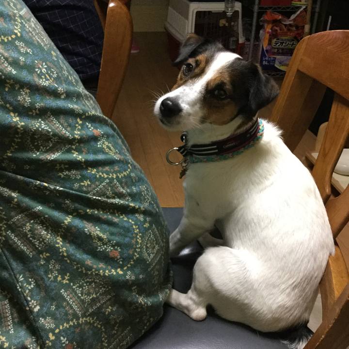 494c9cb1 fd1c 4078 992f 3da8eb0ceeca 1508581600895