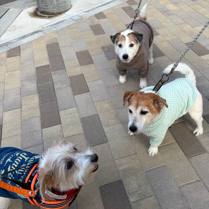 494d3373 277f 4748 abd1 8bdb70e47404 1767339649084