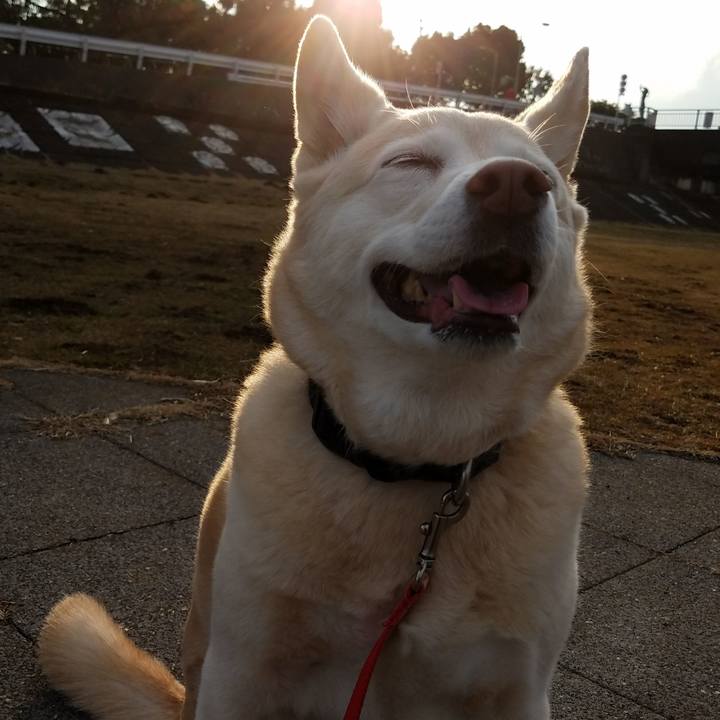 494d4a0d b643 49c5 9995 b35ce0fa21d9 1702187326741