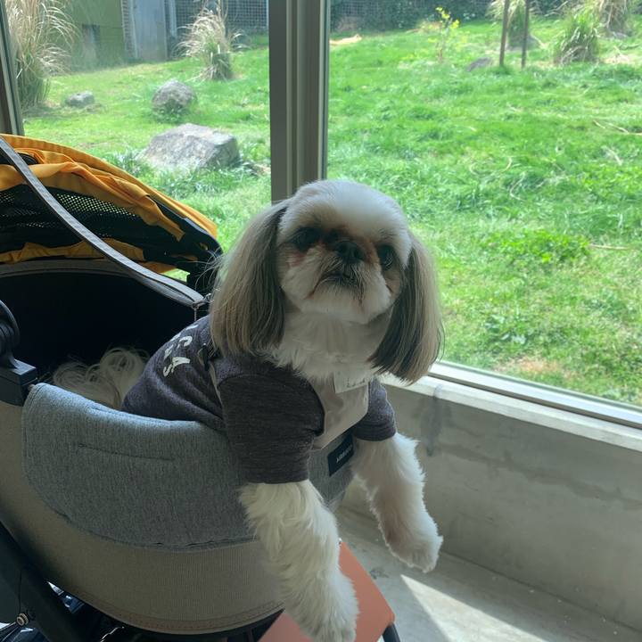 494d7bd3 f93d 4c06 81a4 0e5f144ae2b7 1680782539944