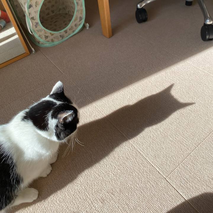 494d9985 a61b 4980 a745 4dcccc3cd9a1 1766097537679