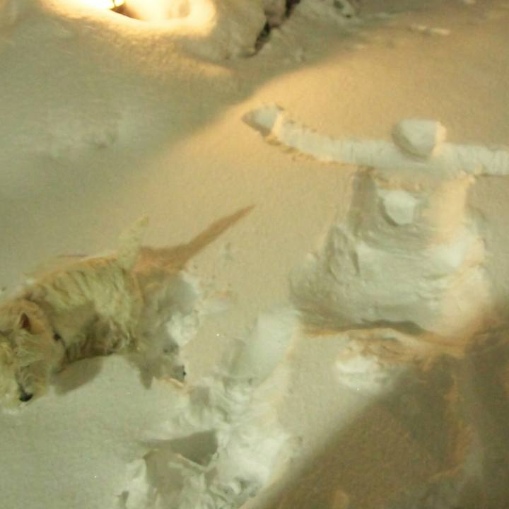 494d99bd 5a5d 46b2 8f58 02c320a9bbc8 1518587723085