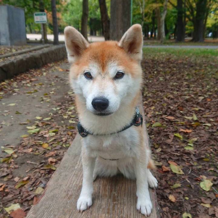 494dc86e c848 4edc a622 c19d989fa582 1570949935696