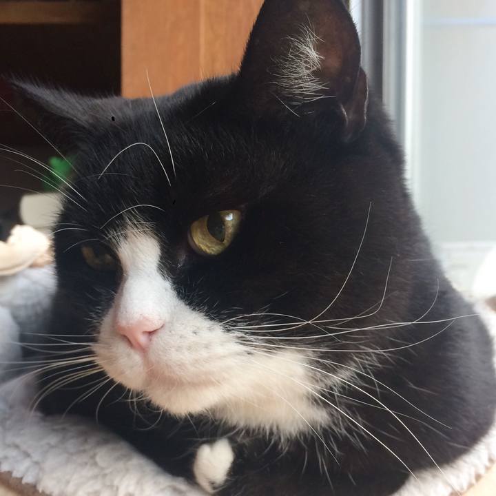 494dd5ce a5b3 4398 bbcd 3fae2520ccdb 1510362321053