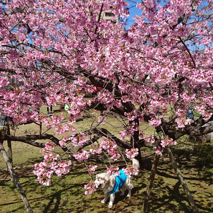 494ded89 4a14 4ea5 aac1 54c4a27abe04 1521281515916