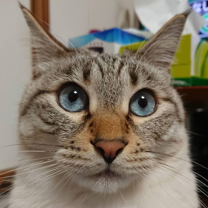 494e307d 8e8e 490c 9540 1ec687d617cd 1582282751409