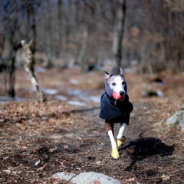 494e3203 5ea2 4a2a ab70 bd220fac9d31 1521193149103