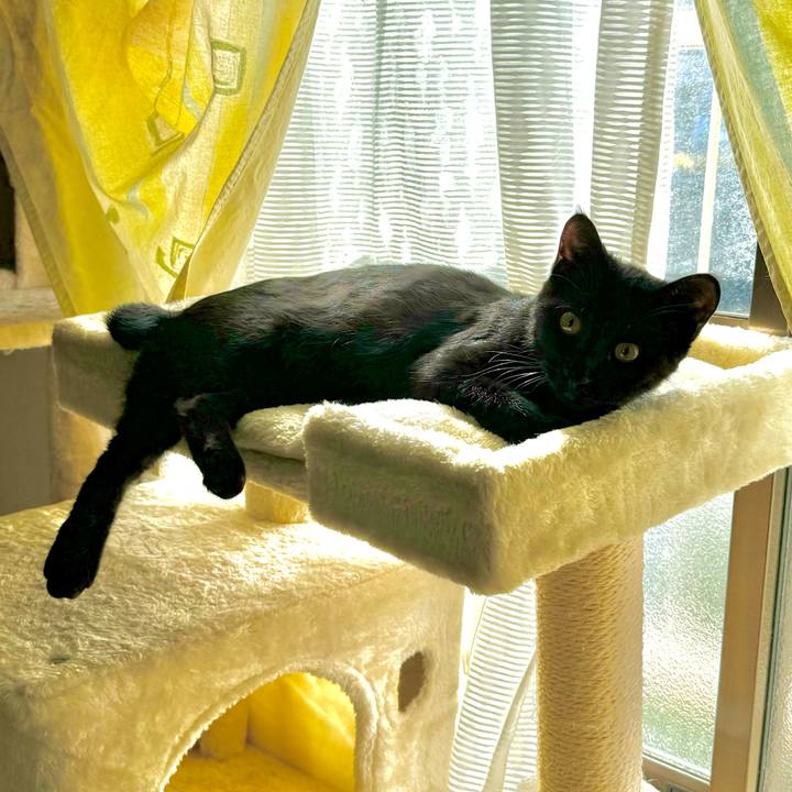 494e42b3 e053 4a08 ba50 004c51d77ba7 1731116331100