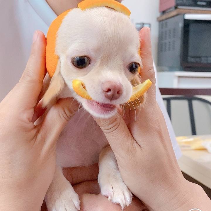 494e45c9 1af2 4529 8aed 7da9054e4530 1593906702307