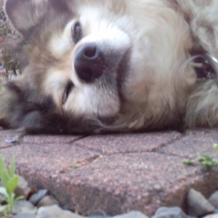 494e4b01 189b 4b8b 98eb e5d1d5746db1 1620321508346