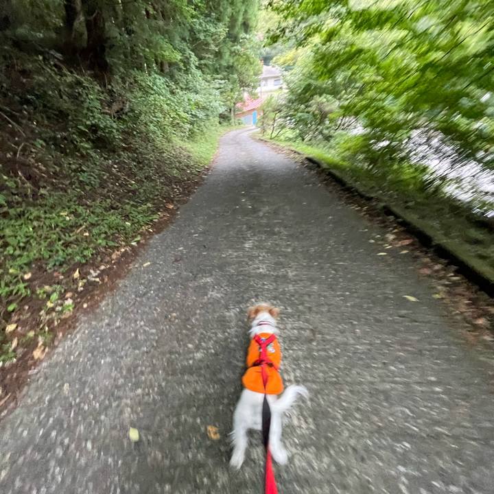 494e61ea 7a55 401a 9411 07822024ab82 1758712015319