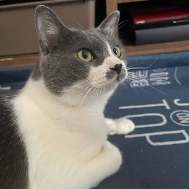 494e86cf 5dc6 4fd6 aee3 67ad43b89b16 1721633023278