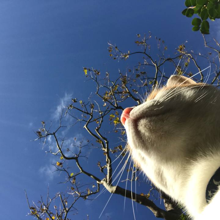 494ea16d b884 4efd 8e43 b11215ecef41 1509320886450