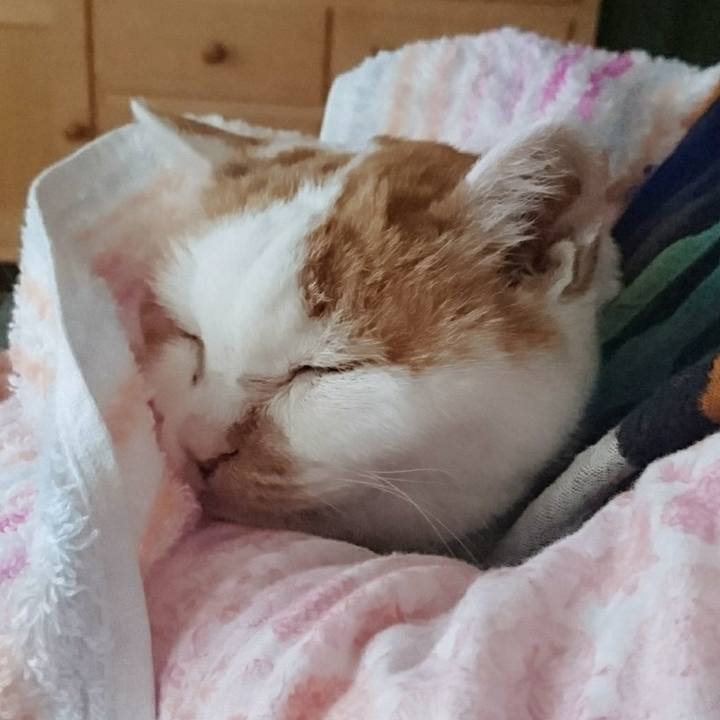 494ec38d f495 44d6 8ca4 4147a55e69eb 1577683522015