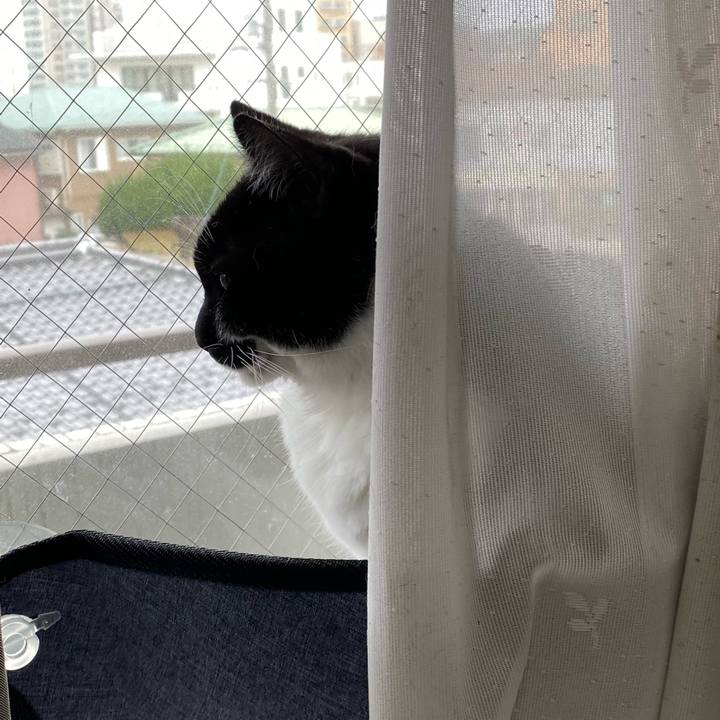 494ed8f5 2938 447f a0da 178ad93f959d 1641350353122