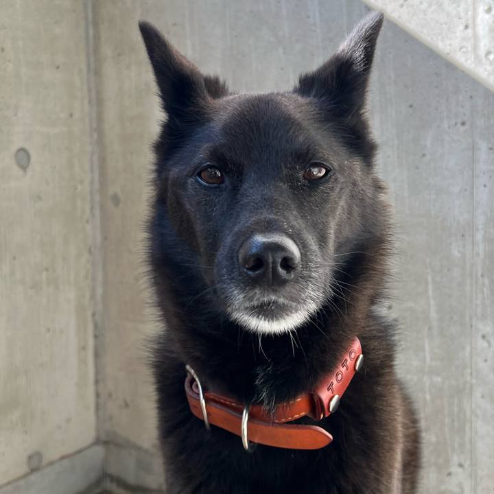 494ee259 cb08 42ce b47c 2c7f2f7f88bf 1693524388955