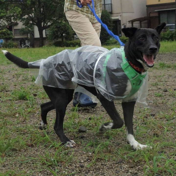 494ee759 061b 4919 9e4f 7374a8a359d1 1593820784986