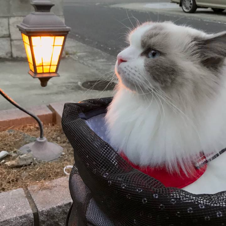 494ef53a 3cd8 49a6 80a8 eefdb8f718ee 1600380815631