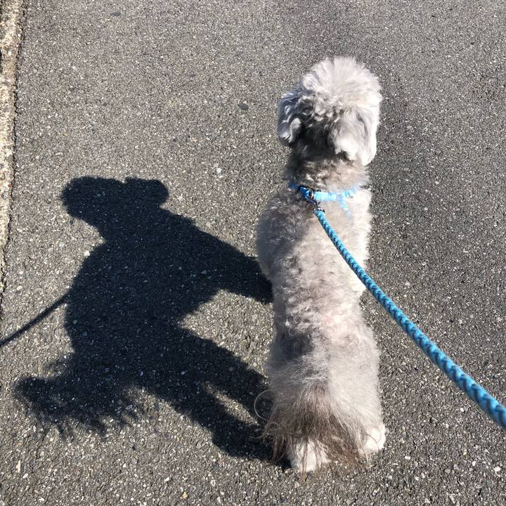 494f19b1 357a 4d10 8a9e 084d6e5ddfd0 1573380209321