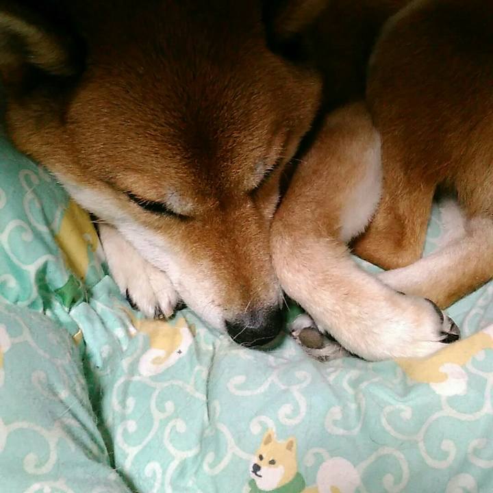 494f3bea cf53 4a8f a307 a5ac3cd29f13 1564748764330