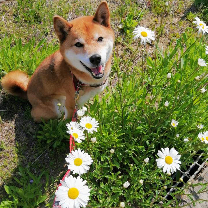 494f4b19 0474 40eb 81c9 cf343be50c5d 1618884127241