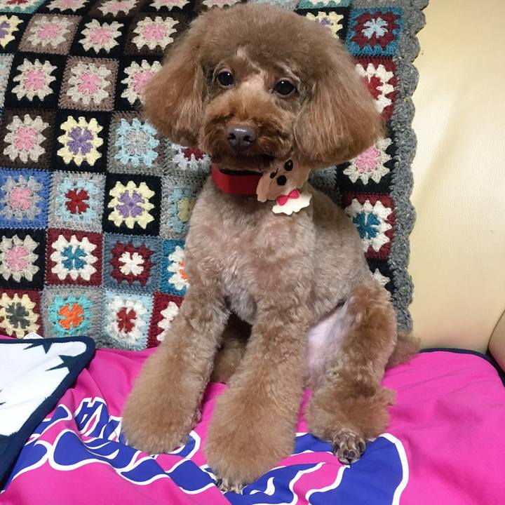 494f4d0a 5e5b 40c7 b443 d96098dc4612 1510308527168