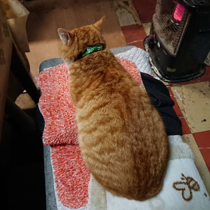 494f67e9 cce7 4599 9fff e44e4c42e1ff 1581414965401