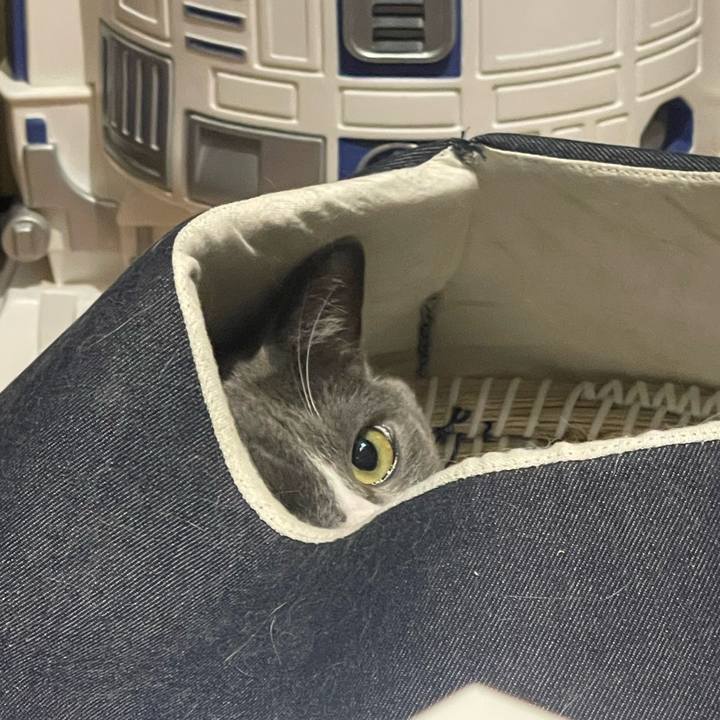 494f895e 2fff 4ef1 a7a4 4395ddc02d8b 1693658638248