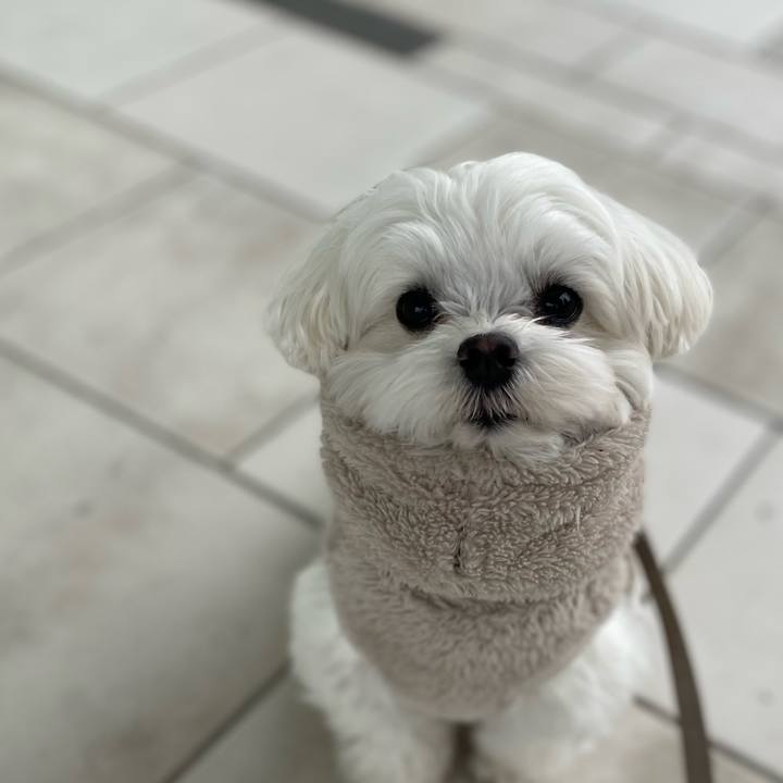 494fffad 8f1e 4336 a771 7e70070f4ffd 1767366076536