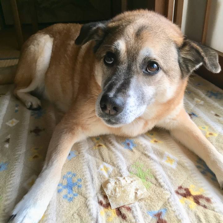 495038df 0399 414f a369 7dac249984f6 1580251762539