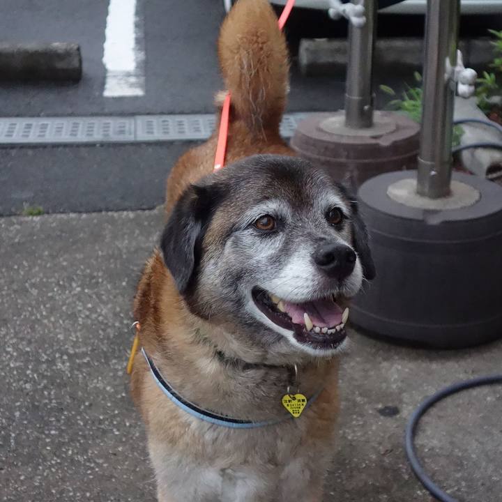 49504e5b 4e03 4e19 9547 fc96777c38d5 1561898604400