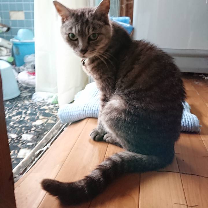 49505c5c d0f7 4b1d 9f76 20098c8efdba 1566162830939