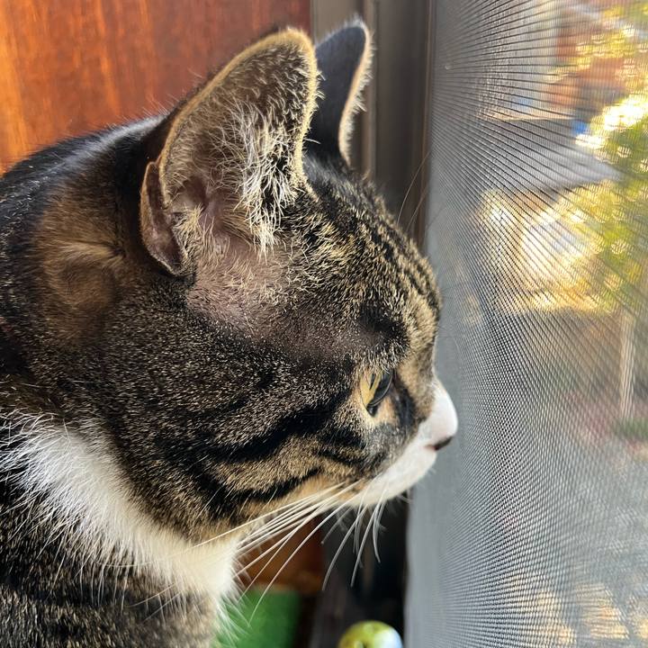 49508331 fe84 415a b0c4 4a026e4f2b24 1774827521672