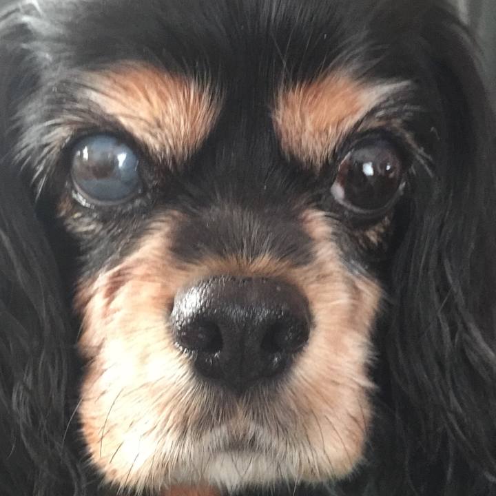 4950a9b7 2b10 45a0 8c8f b2cf00bbb146 1563608327794