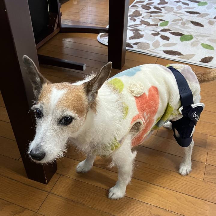 4950c145 da02 43aa 85d4 8cfaa544a09b 1715995051312