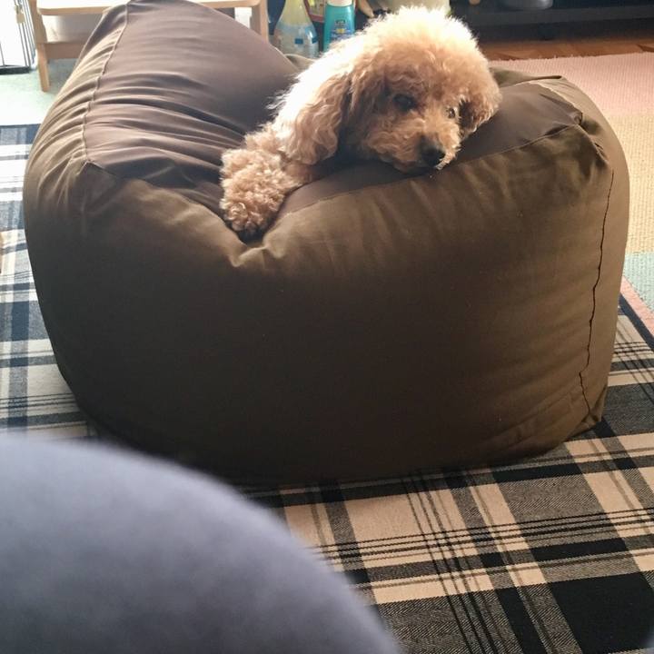 4950e252 7910 4d04 af00 bd4a012f151d 1521962443384