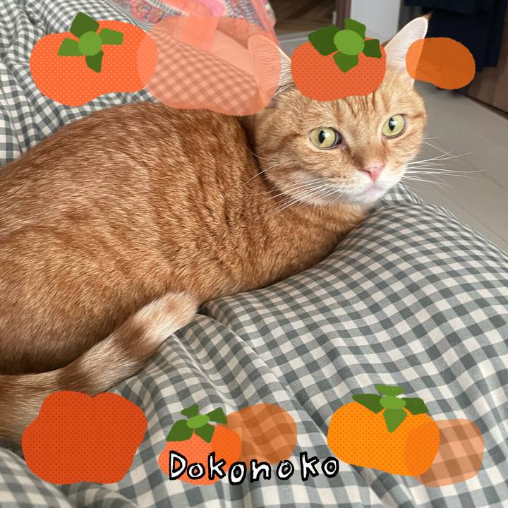 4950e27e 93c8 4c90 8e86 f883133b8e7f 1761197522098