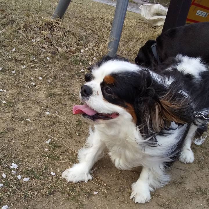 4950fe19 ec02 4970 861e f84e737e9b26 1586473342149